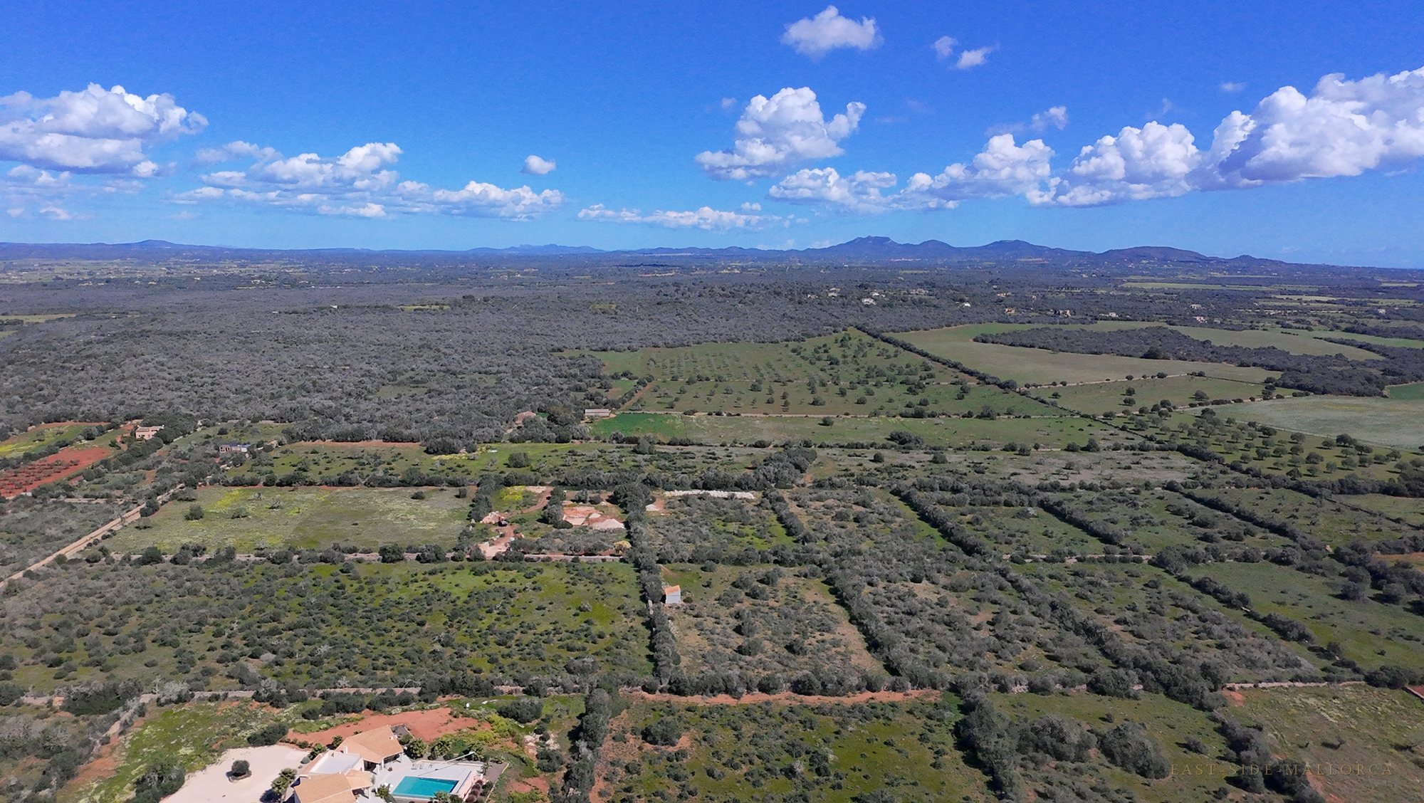 Die Landschaft von Ses Salines aus der Luft — Olivenhaine, Trockensteinmauern und der Puig de Sant Salvador